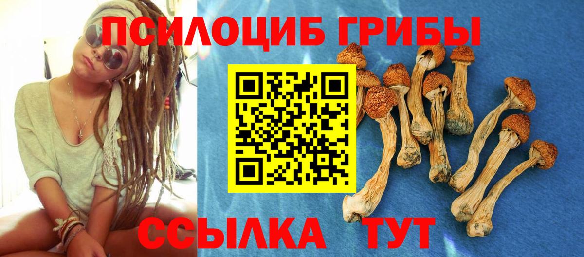 Галлюциногенные грибы MAGIC MUSHROOMS  Галлюциногенные грибы Cubensis  Канаш  Вход с VPN 
