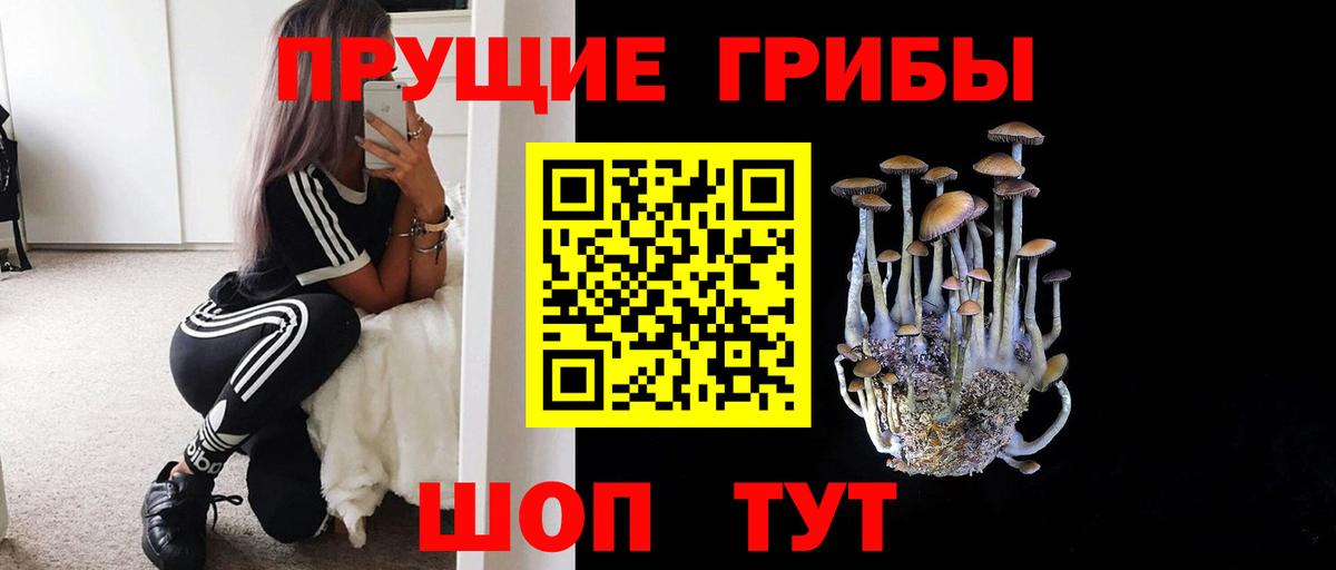 Псилоцибиновые грибы ЛСД Канаш